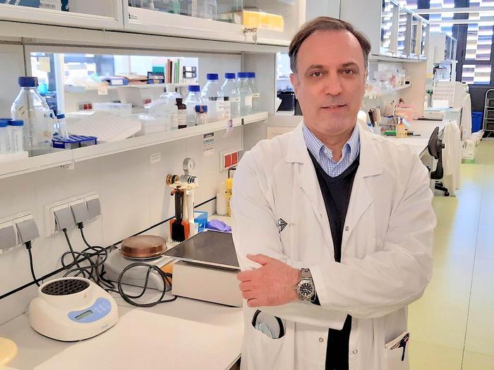 Dirençli Lenfoma Hastalarında Çığır Açan CAR-T Tedavisi Başarıları