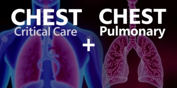 CHEST Kritik Bakım ve CHEST Pulmoner Dergilerinin Scopus İndeksine Alınması: Bilimsel Yayıncılıkta Önemli Bir Başarı