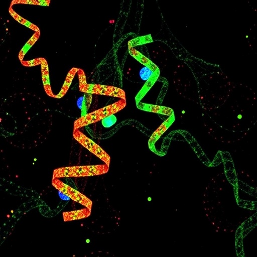 CMSS1: Akciğer Kanseri İlerlemesini Tetikleyen Ana RNA Proteini
