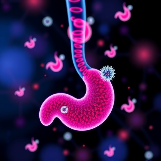 Karaciğer ve Pankreas Kanserlerinde Kombinasyon Tedavileri, Kişiye Özgü Baş Boyun Kanseri Organoid Modelleri ve Erken Kanser Tespiti için Sıvı Biyopsi Yenilikleri