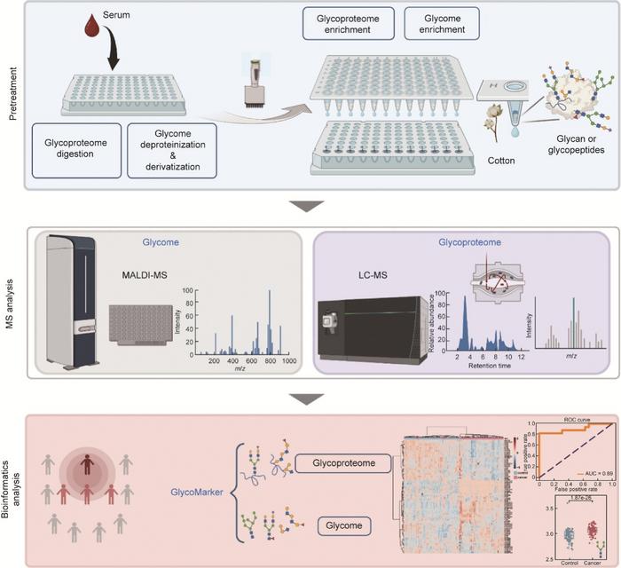 GlycoPro: Glikozilasyon-Omik Analizinde Devrim Yaratan Platform