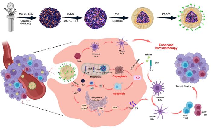 İnnovatif Nanoterapi ile Melanom Bağışıklık Yanıtının Güçlendirilmesi