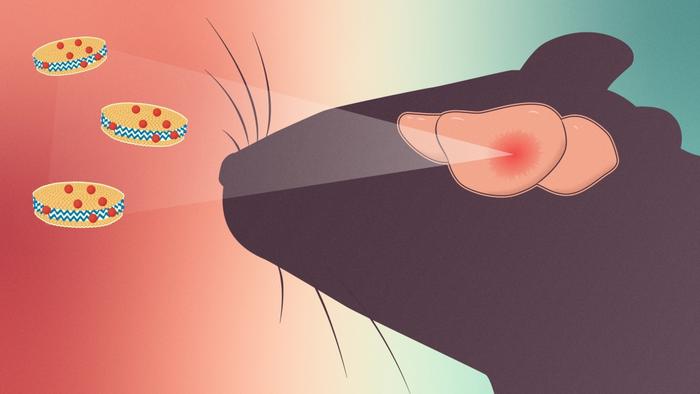 Nanopartiküllerle Glioblastoma’ya Hedefli Tedavi: Fare Modellerinde Ümit Vadeden Sonuçlar