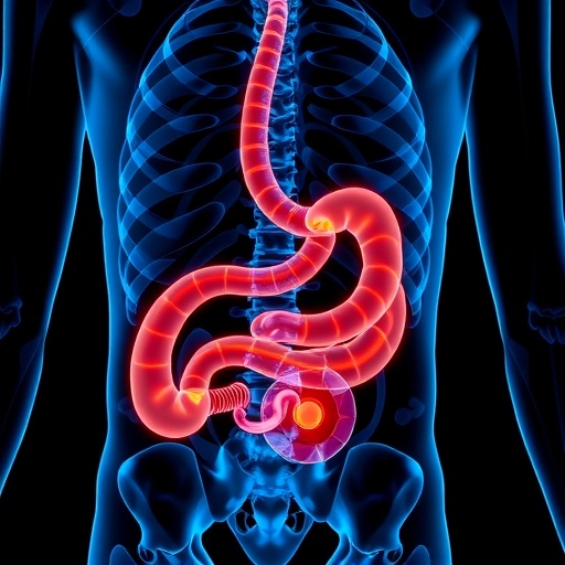 Gastrik Kanser Hastalarında Sarkopeni Risk Faktörleri