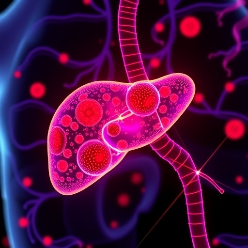 Tyrosin Kinaz ve PD-1 İnhibitörlerinin Karaciğer Kanseri Tedavisindeki Rolü