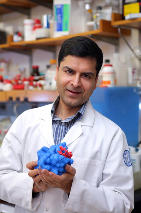 Küçük RNA Modifikasyonlarının Hücresel Stres Tepkilerinin Düzenlenmesi