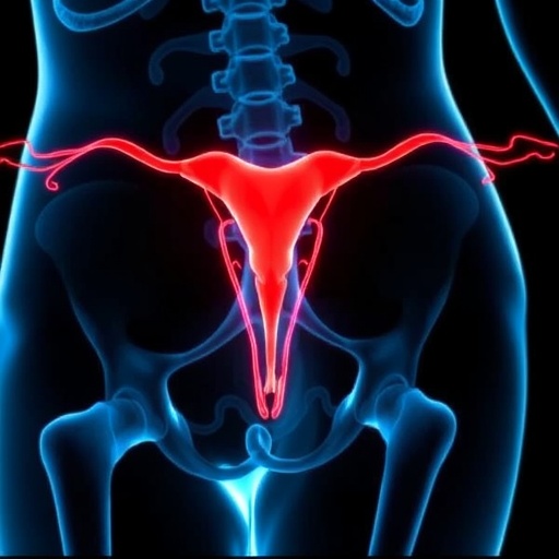 Moleküler Profiling ile Endometrial Kanserde Radyasyon Dozunun Güvenli Azaltılması ve Yüksek Riskli Hastalarda Tedavi İyileştirmesi: Faz III Klinik Çalışma