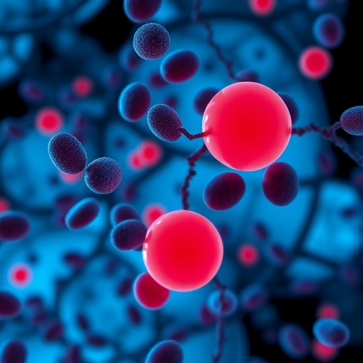Trombosit-Albumin-Bilirubin Skoru Hepatit B İlişkili Karaciğer Kanseri Sağkalımını Öngörür