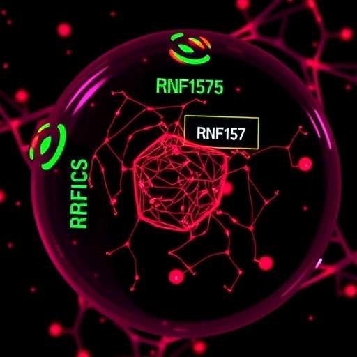 RNF157'nin RIG-I Aracılığıyla Karaciğer Kanseri Progresyonundaki Rolü