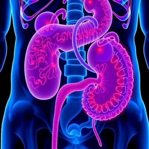 Perirenal Yağ ile İlişkili Renal Karsinom Türleri