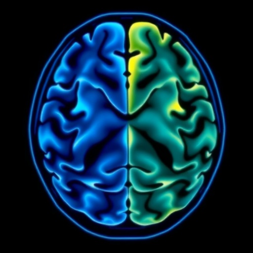 Assessing Brain Mri Quality With Mriqc Tool 1778511458
