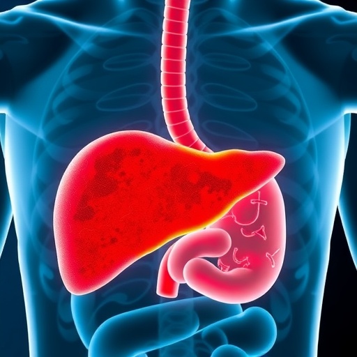 Asthma Medication Exhibits Potential To Reverse Fatty Liver Disease 1778263222