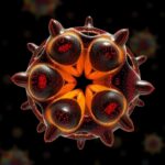 Asymmetric Division In Lipid Nucleotide Droplets 1778763138
