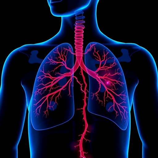 Axon Pathways Connect Small Gestational Age To Lung Restrictions 1777825416