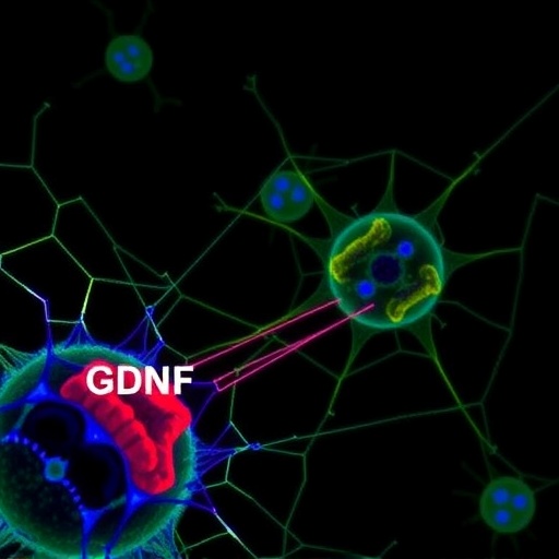 Blocking Gdnf Production In Schwann Cells Could Alleviate Pain In Nf1 1779827921