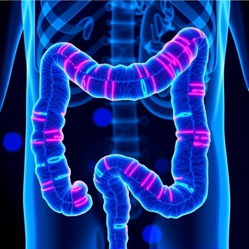 Clca4 A Key Prognostic Marker And Therapeutic Booster In Colorectal Cancer 1777999625