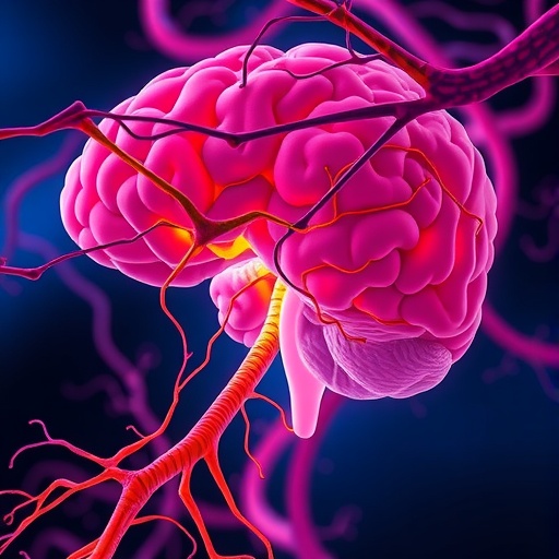 Calcium Flow And Magnesium Block In Nmda Receptors 1777987415