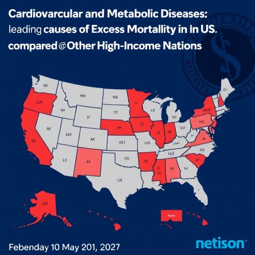 Cardiovascular And Metabolic Diseases Leading Causes Of Excess Mortality In The Us Compared To Other High Income Nations 1...