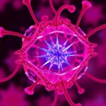 Cells Unveil Their Inner Workings A Scientific Breakthrough 1778863286