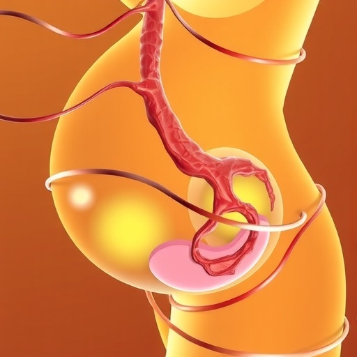Chemical Mixtures During Pregnancy Could Impact Fetal Growth Via The Placenta 1778792127