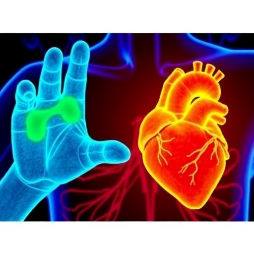 Chilly Extremities Steamy Hearts How Body Temperature Influences Disease From Trpm4 Mutations 1777667131