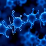 Common Anemia Drug Reveals Promising New Role In Cancer Therapy 1779985884