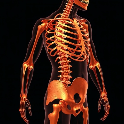 Copper Homeostasis And Cuproptosis In Orthopedics 1779261582