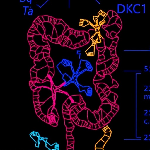 Dkc1 Drives Colorectal Cancer Via Sphingolipid Disruption 1779095901