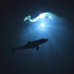 Darkness Size Influenced End Cretaceous Sea Extinctions 1779933990