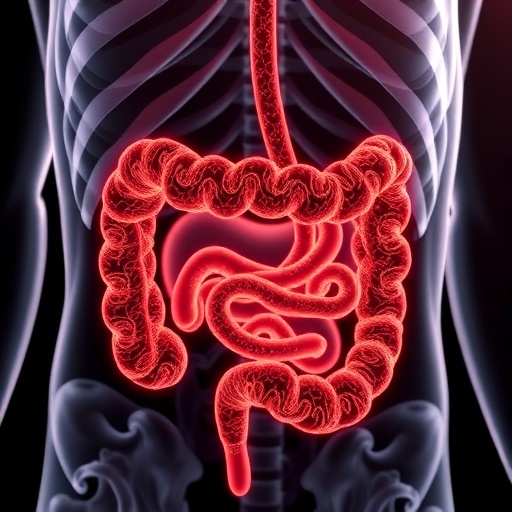 Diet Derived Compound Shows Promise In Repairing Hiv Induced Gut Damage Study Finds 1779477388