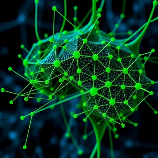 Essential Initialization In Biological Neural Networks 1779321813