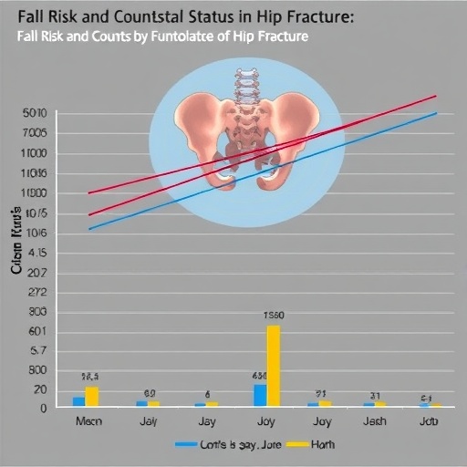 Fall Risk And Counts By Functional Status In Hip Fracture 1778330916