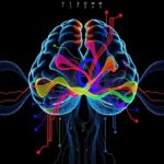 Fluctuating States Link Neural And Behavioral V1 Activity 1778671234