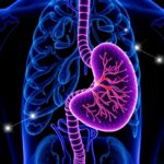 From Salk Institute Breakthrough To Bedside Vitamin D Analog Disarms Pancreatic Cancers Defenses In Clinical Trial 1779827192
