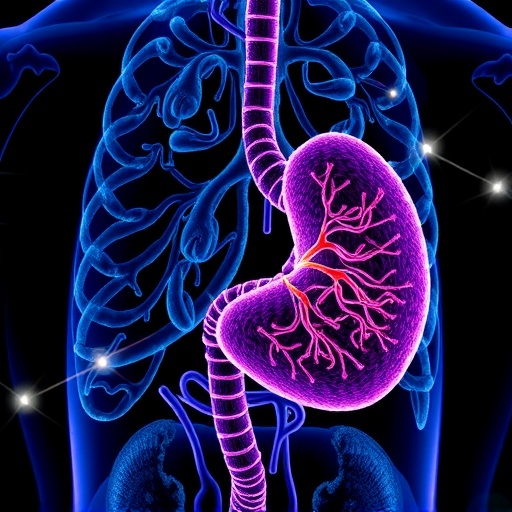 From Salk Institute Breakthrough To Bedside Vitamin D Analog Disarms Pancreatic Cancers Defenses In Clinical Trial 1779827192