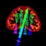 Gaba In Ng2 Glia Drives Empathy Like Behavior 1779731780 1