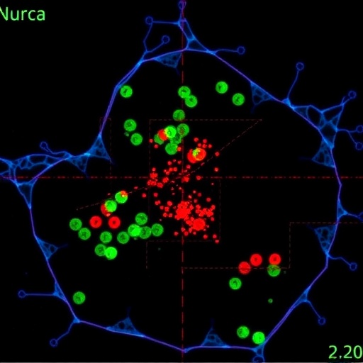 Genetically Targeted Mtorc1 Inhibitor Uncovers Nuclear Control 1778782717