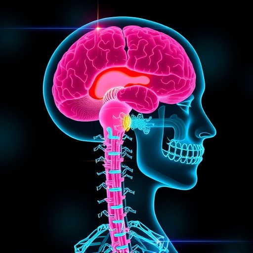 Groundbreaking Clinical Trial Yields Key Insights For Treating Chiari Malformation And Syringomyelia 1779919525