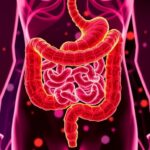 Gut Microbiota Shapes Stem Cell Response To Obesity 1779982657