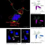Hdac4 Protac Boosts Lung Cancer Ferroptosis Sensitizes Radiation 1779750095