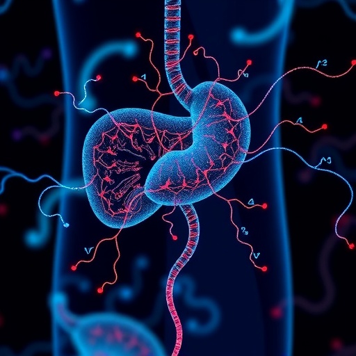 Hepatic Snhg9 Connects Gut Microbiota To Liver Defense 1779280525