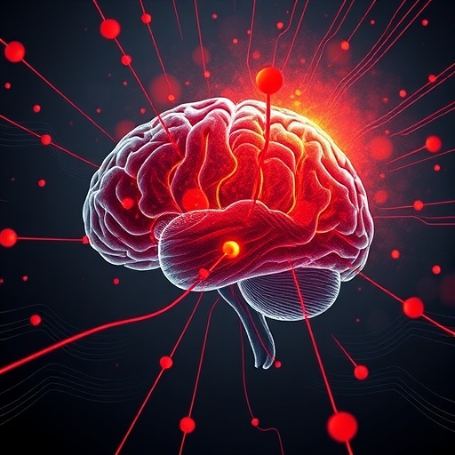 Hippocampal Ripples Drive Brains Planning And Memory 1778067528
