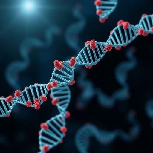 How Mtdna Mutations Build With Age 1779948647