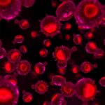 Human Blood Stem Cells Retain Inflammatory Memory 1779966943