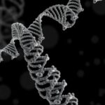 Human Rna M5C Methyltransferase Nsun2 Specificity 1779963276