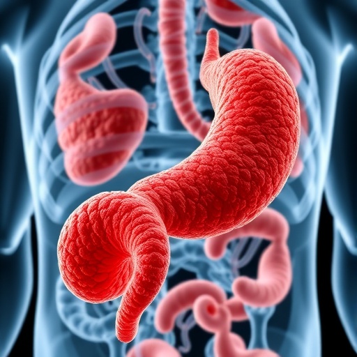 Inflammatory Genes Connect Pancreatic Cancer Risk To Obesity And Diabetes 1778064564