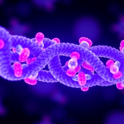Inherited Long Telomeres Linked To Increased Risk Of Lymphoid Cancers 1778170469