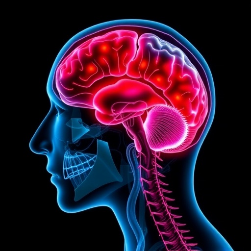 Intrinsic Capacity Resilience Frailty In Stroke Recovery 1779017966