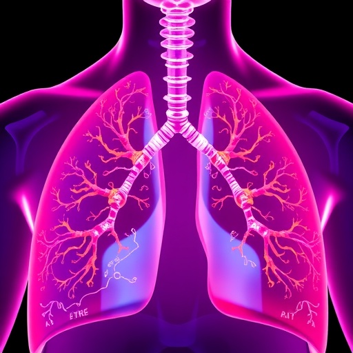 Lactic Acid And Protein Lactylation Key Drivers In Pulmonary Fibrosis Progression 1779927209