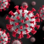 Lassa Virus Biophysics And Glycoprotein Structure Insights 1778771370